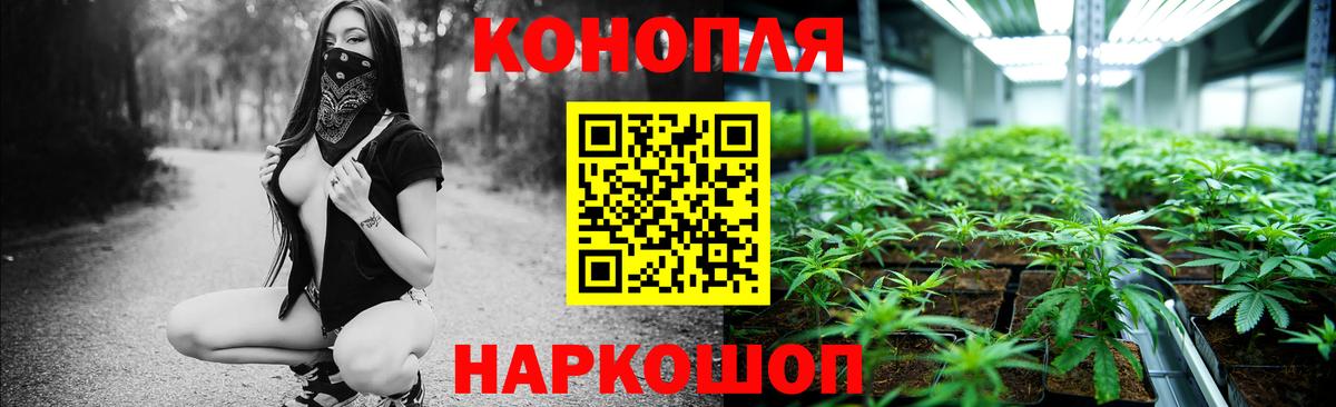 Бошки Шишки White Widow Тимашёвск